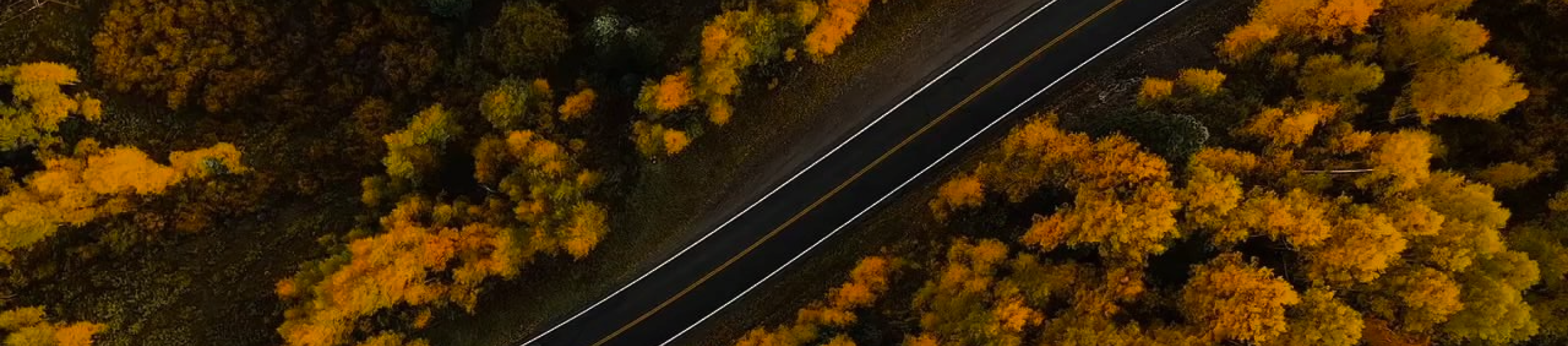 Autumn forest aerial view with road