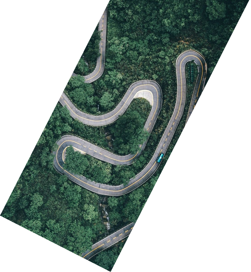 Curved road through forest