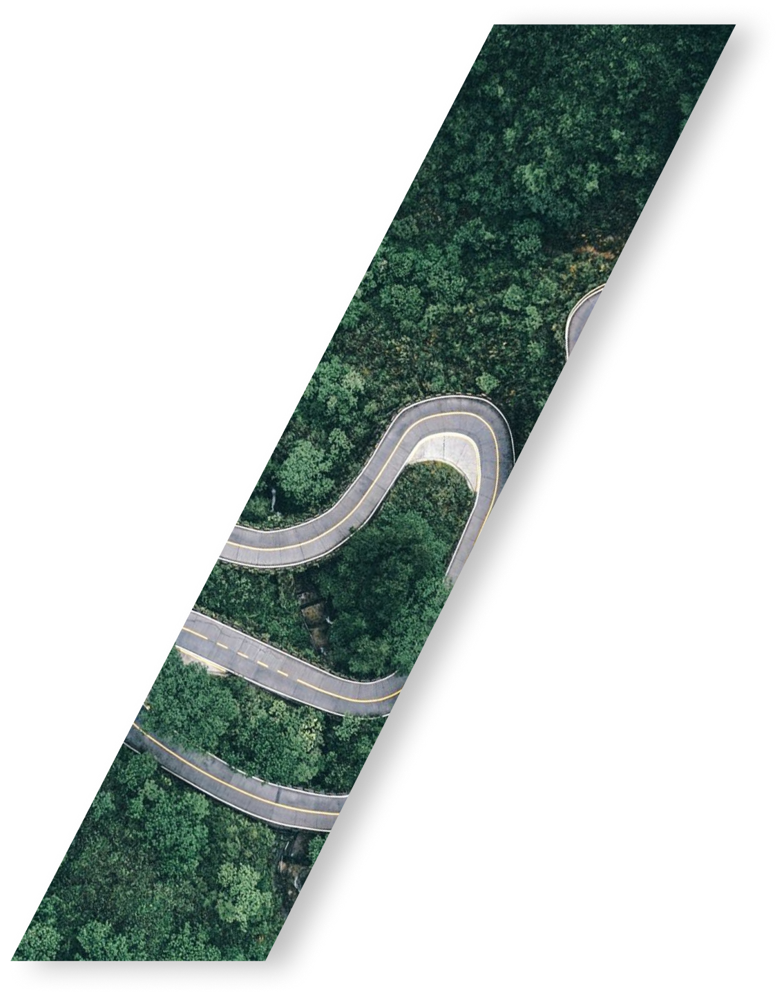 Aerial forest road