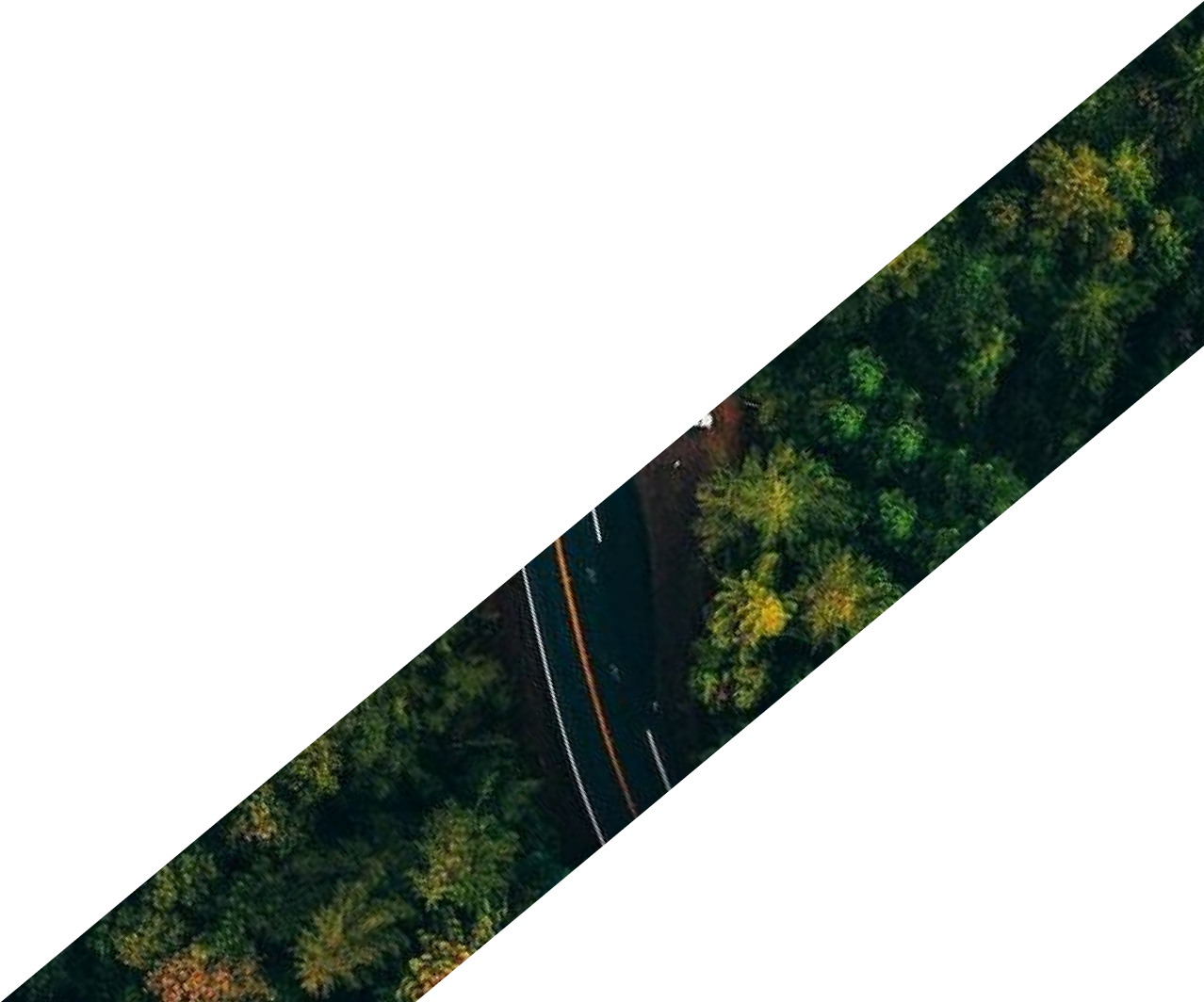 Diagonal forest road